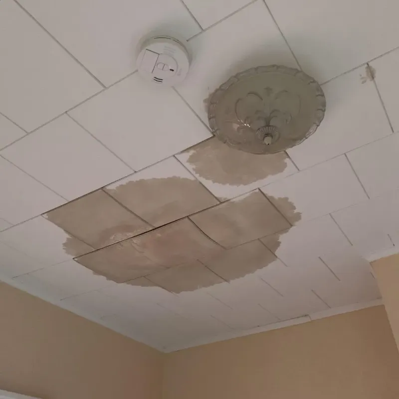 Ceiling Water Damage Repair in Eagle River, MI